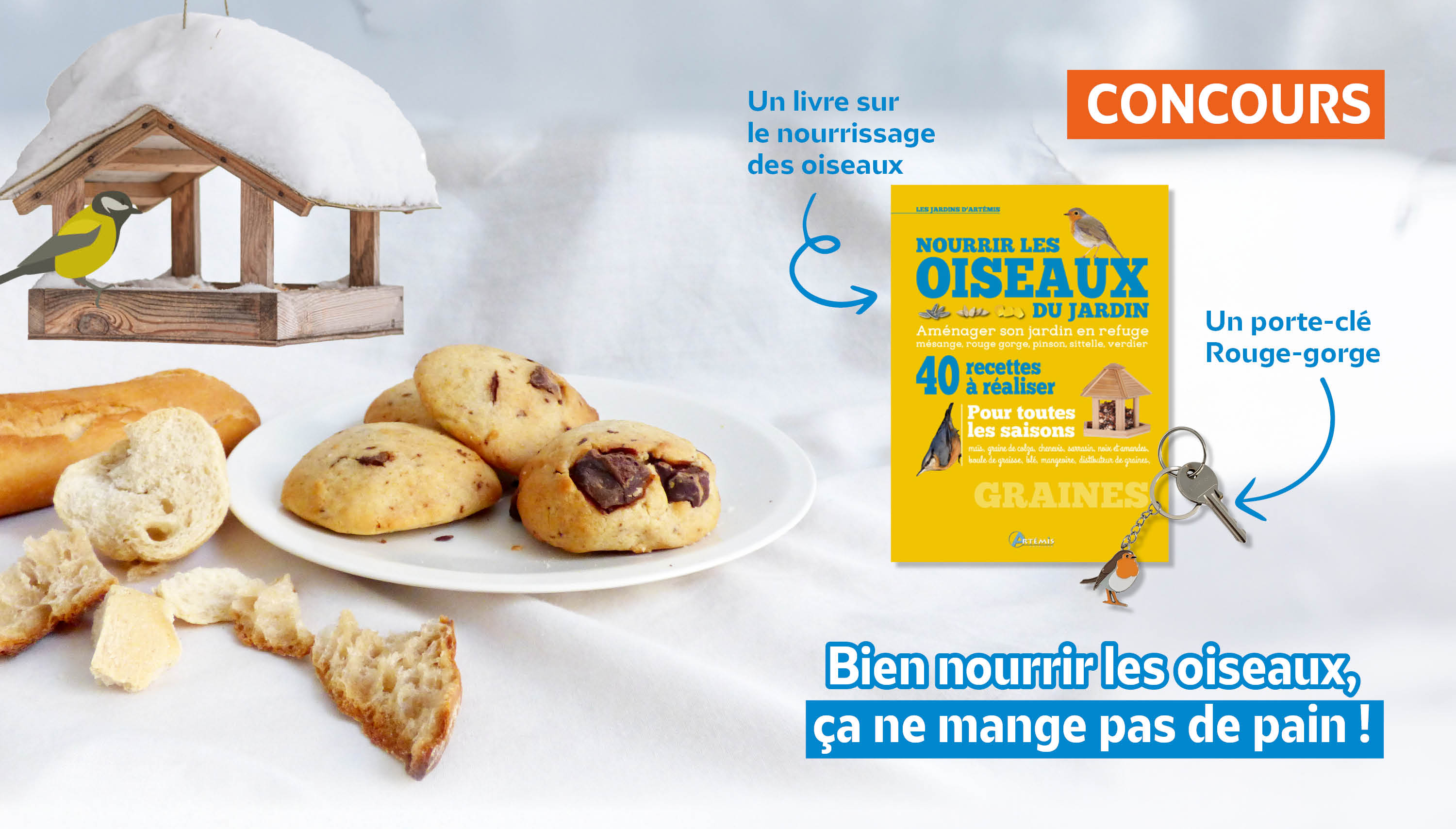 Bien nourrir les oiseaux, ça ne mange pas de pain ! : le concours